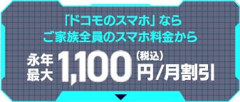 永年最大1,100円/月割引