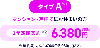 タイプA