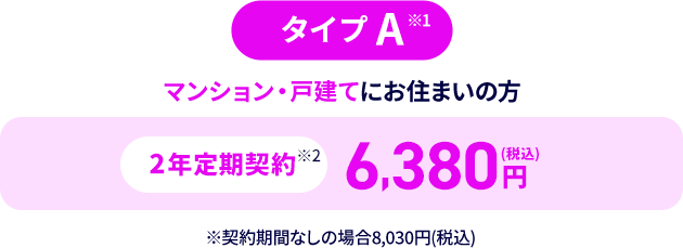 タイプA