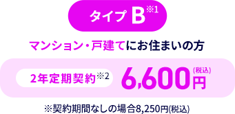 タイプB
