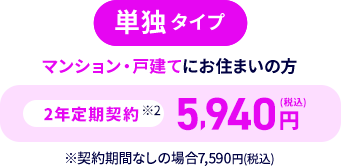 単独タイプ
