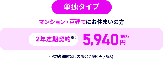 単独タイプ
