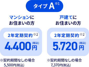 タイプA