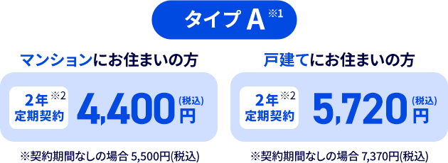タイプA