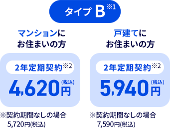 タイプB