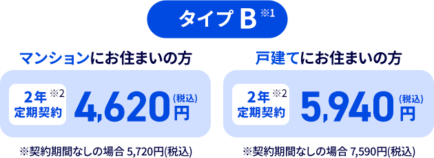 タイプB