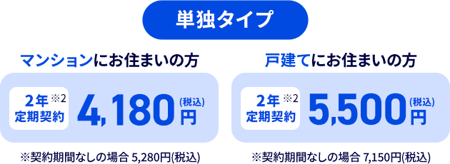 単独タイプ